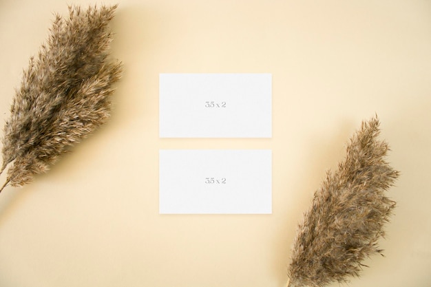 Mockup business cards with pampas grass on beige background