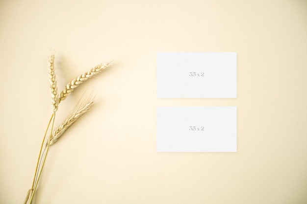 Mockup business cards with wheat on beige background