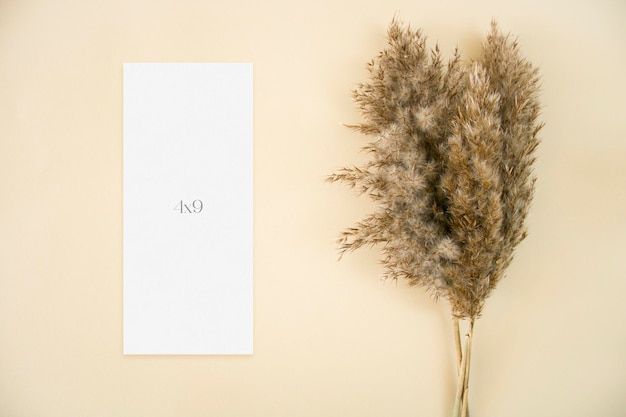 Mockup menu card with with pampas grass on beige background