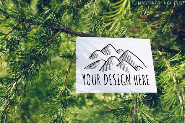 Mockup of postcard on a larch branch