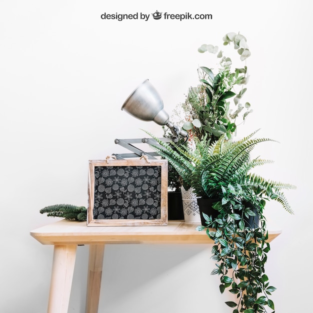 Mockup of slate and plants on table