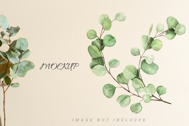 Mockup with eucalyptus leaves