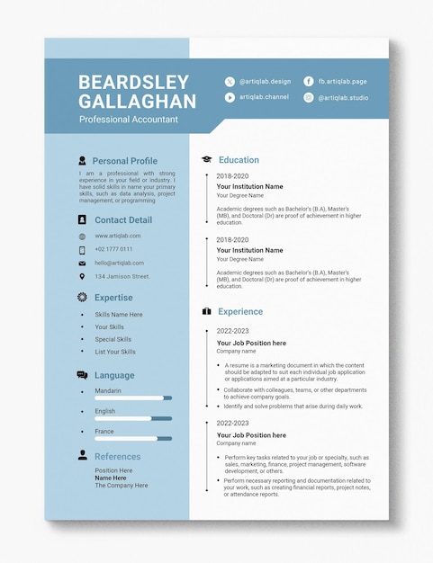 Modern CV Professional Accountant Resume PSD