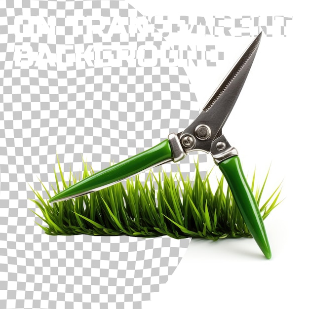 PSD Современная модель grass shears вблизи изолирована на прозрачном фоне