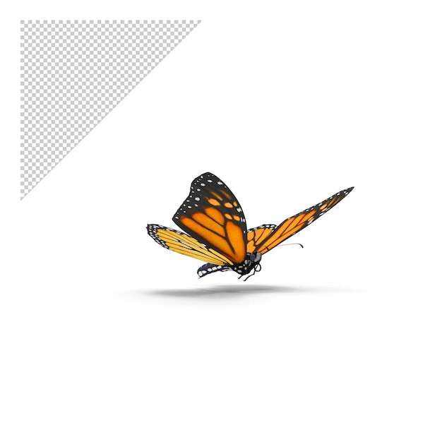 monarch Butterfly Flying Pose PNG