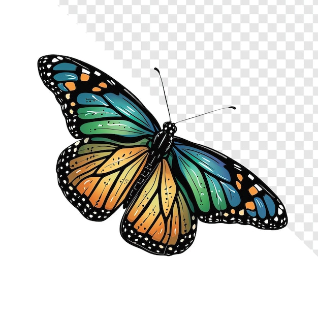 Monarch butterfly illustration with blues silver green