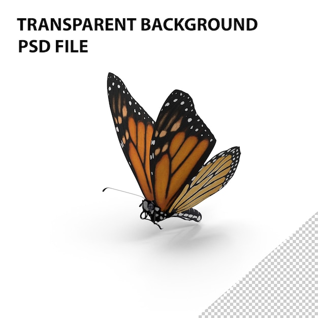 PSD monarch butterfly png