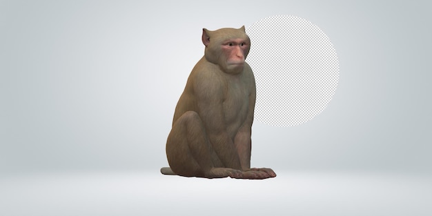 Scimmia isolata su uno sfondo trasparente