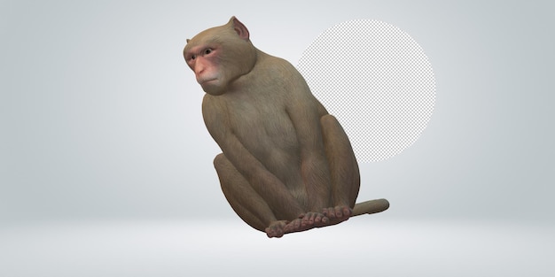 PSD monkey isolated on a transparent background