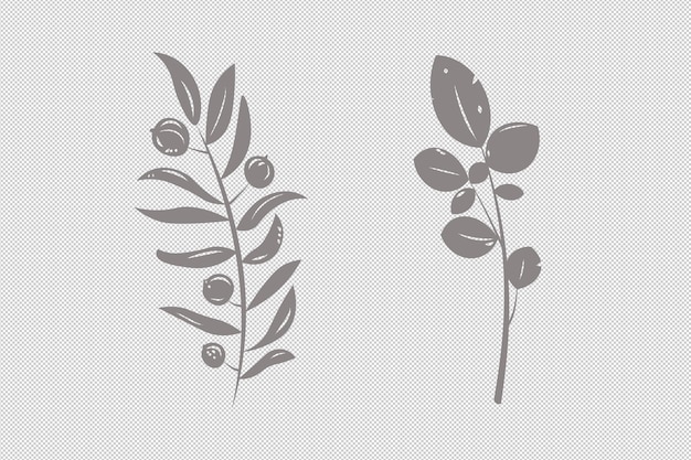 Monochromatyczne ilustracje ziół i liści clipart