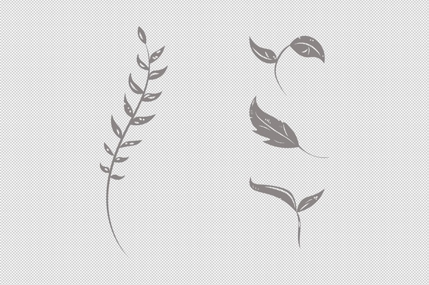 Monochrome herbs and leaves clipart for collage