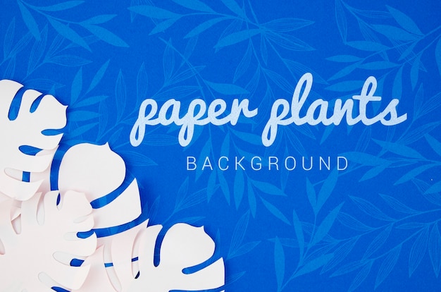 PSD monstera paper plant leaves background with shadows