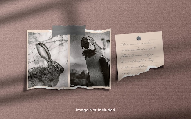 Moodboard photo frame mockup