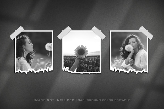 Moodboard polaroid fashion photo frame mockup