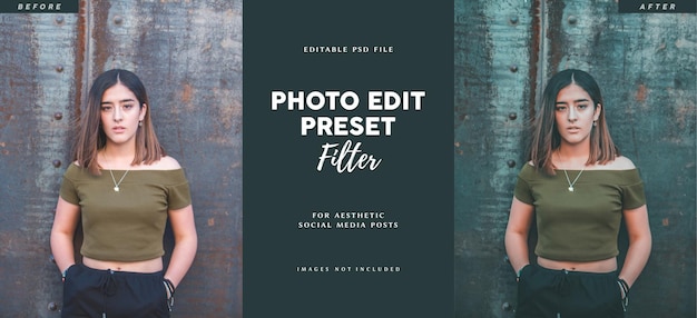 Moody photo edit preset filter for fashion banner brochure portfolio