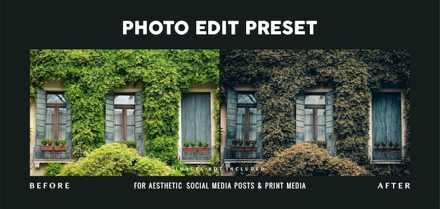 PSD Предустановленный фильтр для редактирования фотографий moody для фотографий в instagram
