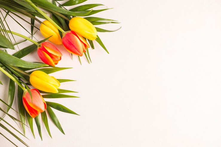 PSD mooi bloemconceptmodel