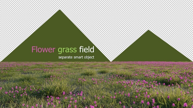 Mooi gras en bloemenveld met transparante achtergrond