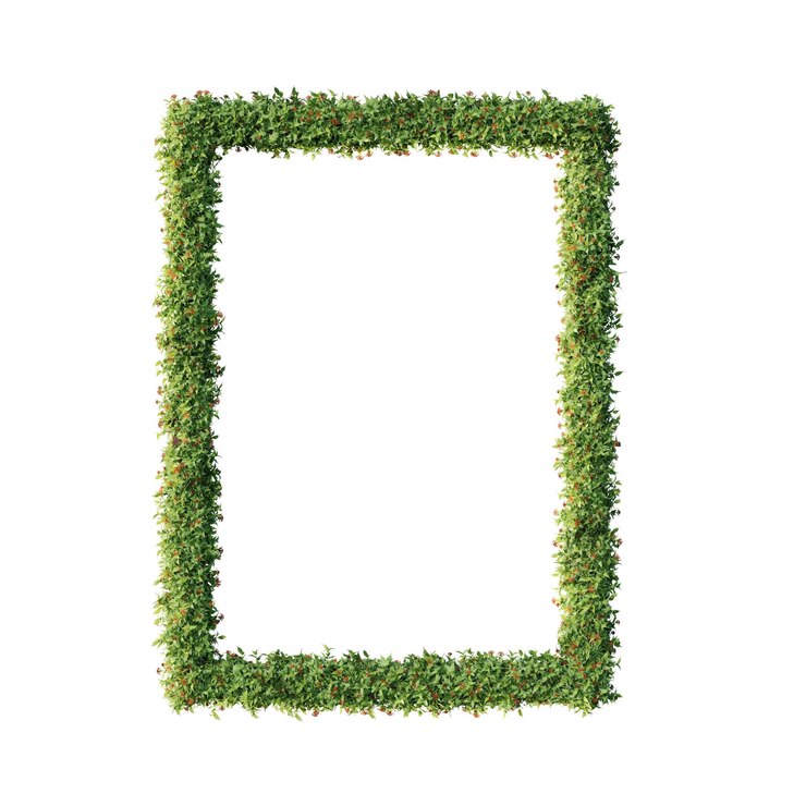 PSD mooi grasblad bloem frame