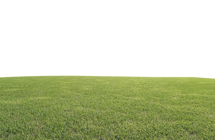 PSD mooi groen veld met bloemen en gras.