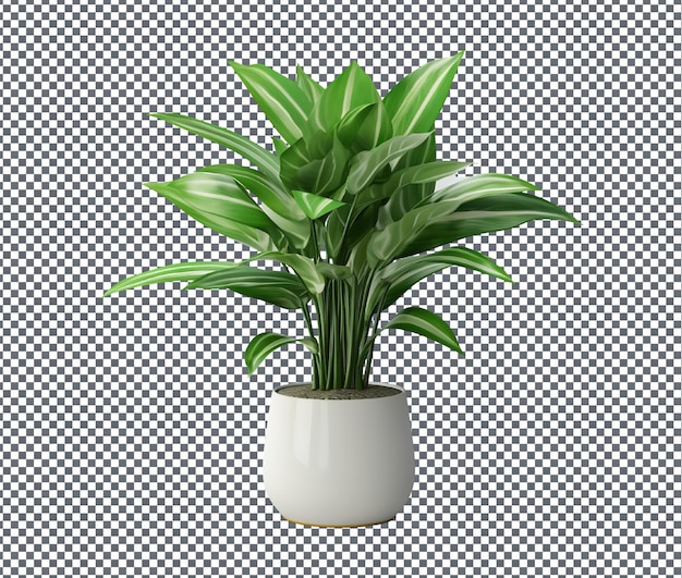 Mooie decoratieve kamerplant geïsoleerd op een doorzichtige achtergrond