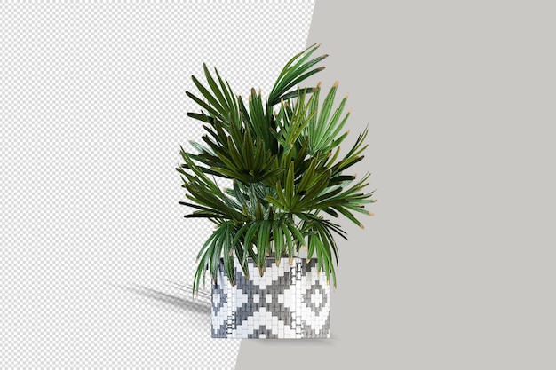 Mooie plant 3d-rendering geïsoleerd