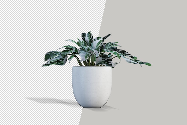 Mooie plant 3D-rendering geïsoleerd