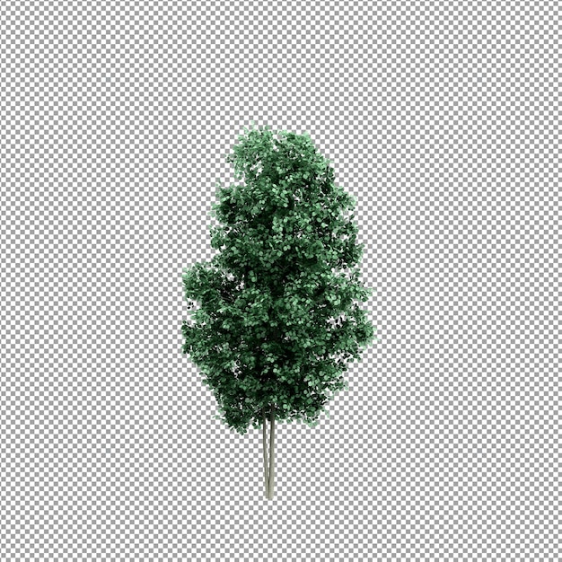 PSD mooie plant in 3d-rendering geïsoleerd