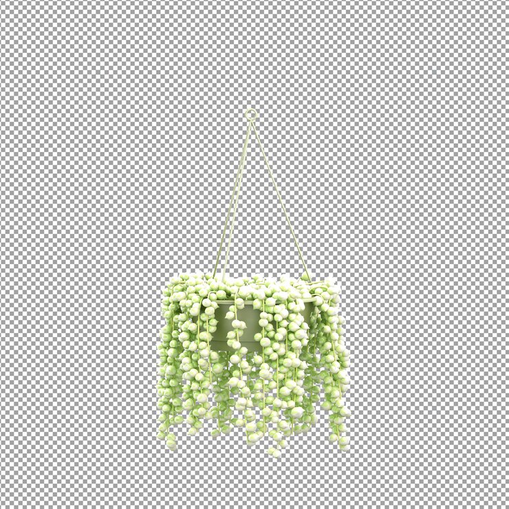 PSD mooie plant in 3d-rendering geïsoleerd