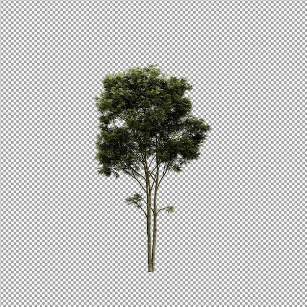 Mooie plant in 3D-rendering geïsoleerd