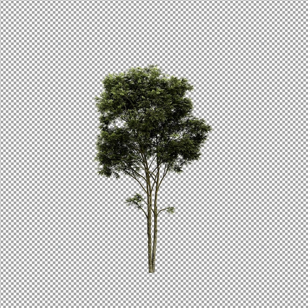 Mooie plant in 3d-rendering geïsoleerd