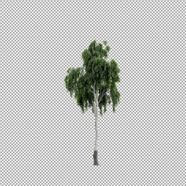 Mooie plant in 3d-rendering geïsoleerd