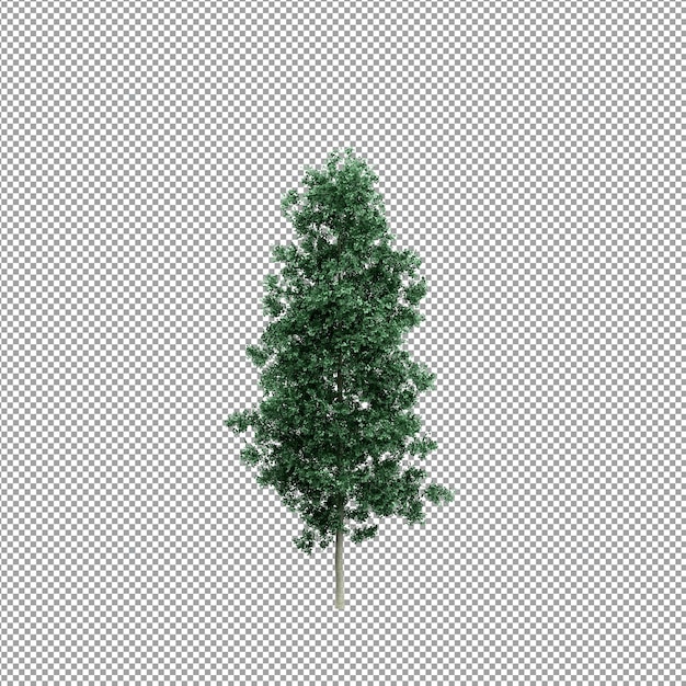 Mooie plant in 3D-rendering geïsoleerd