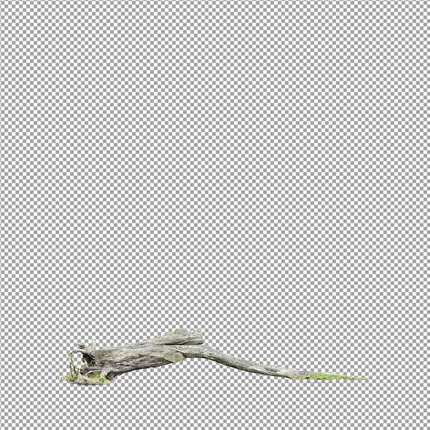Mooie plant in 3D rendering geïsoleerd