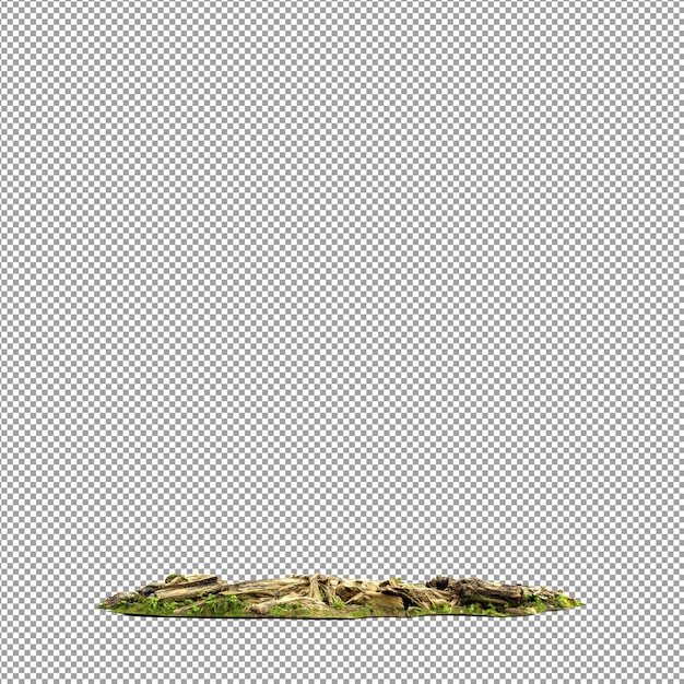 Mooie plant in 3D rendering geïsoleerd