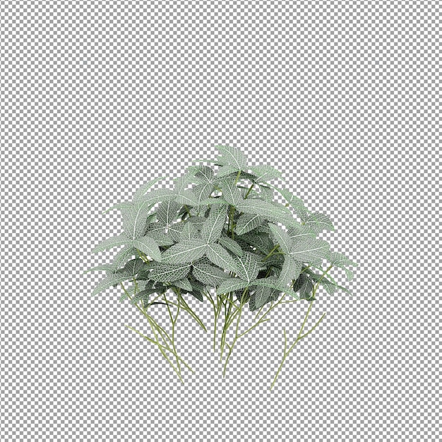 Mooie plant in 3D-rendering geïsoleerd