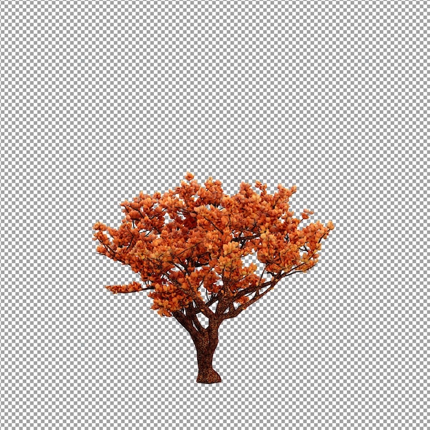 Mooie plant in 3D-rendering geïsoleerd