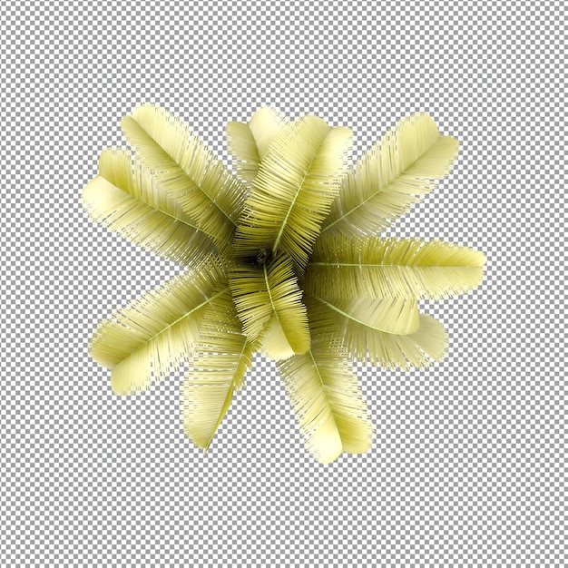 Mooie plant in 3d-rendering geïsoleerd