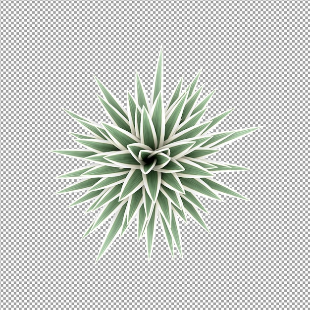 Mooie plant in 3d-rendering geïsoleerd