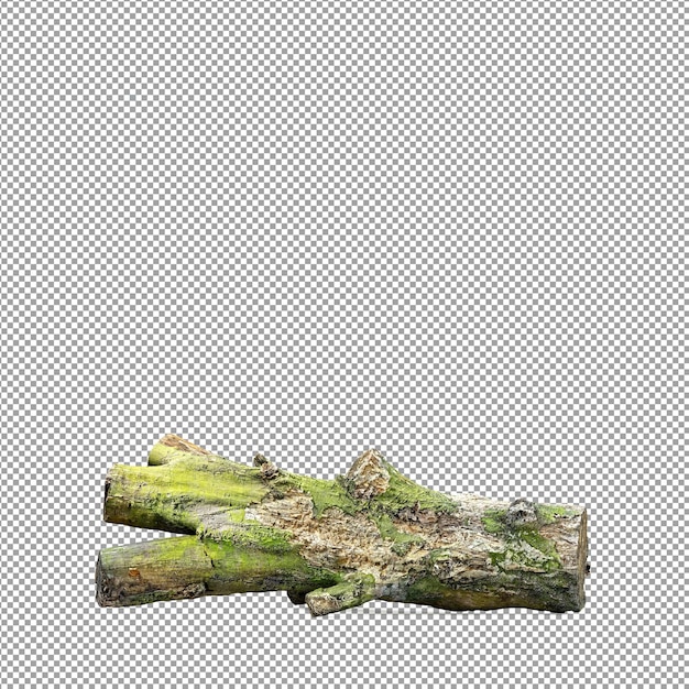 Mooie plant in 3D-rendering geïsoleerd