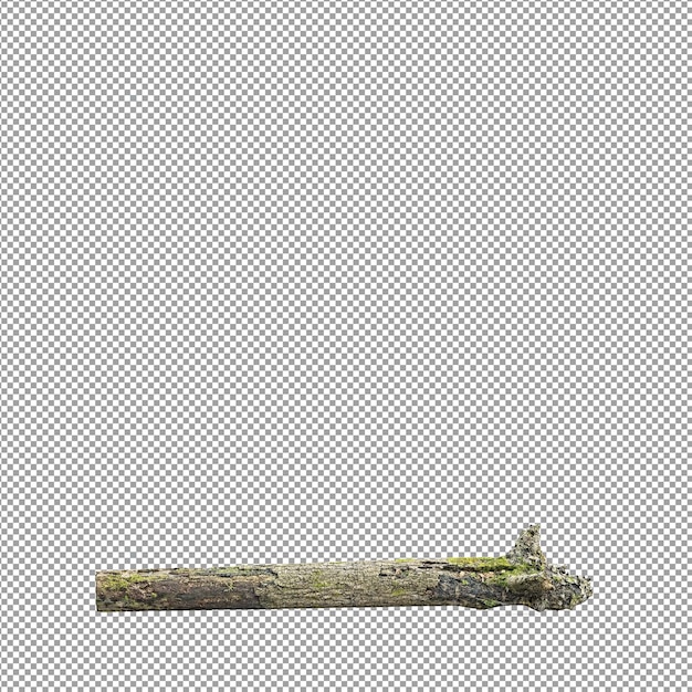 Mooie plant in 3D rendering geïsoleerd