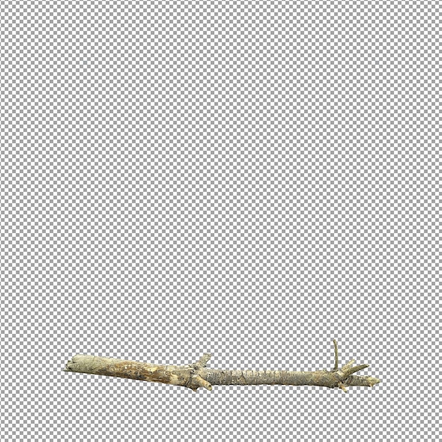 Mooie plant in 3D rendering geïsoleerd