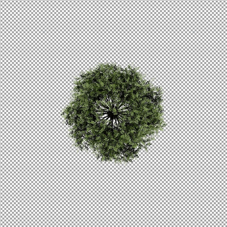 PSD mooie plant in 3d-rendering geïsoleerd