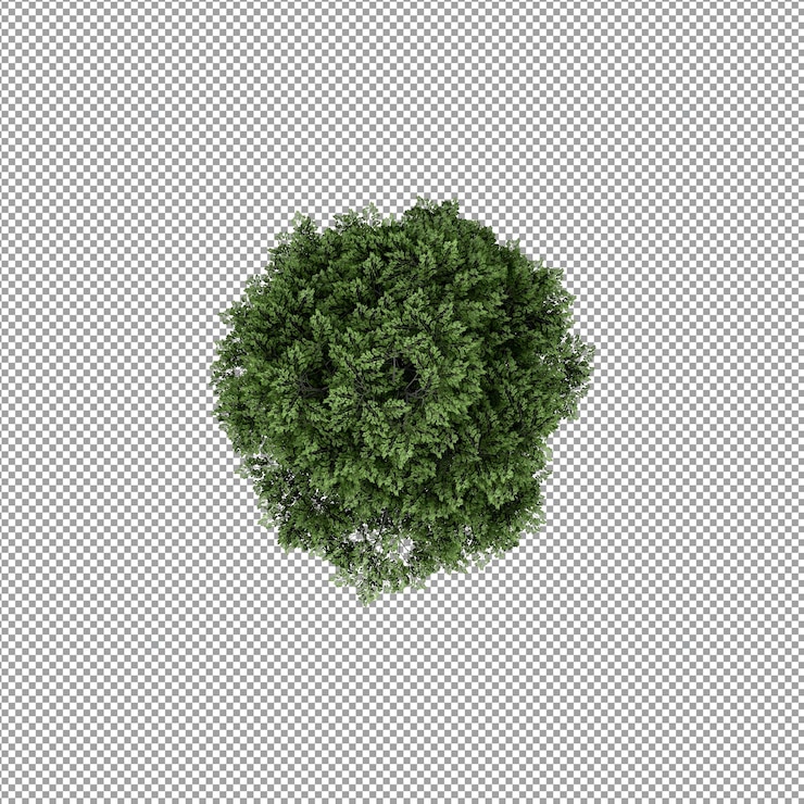 PSD mooie plant in 3d-rendering geïsoleerd