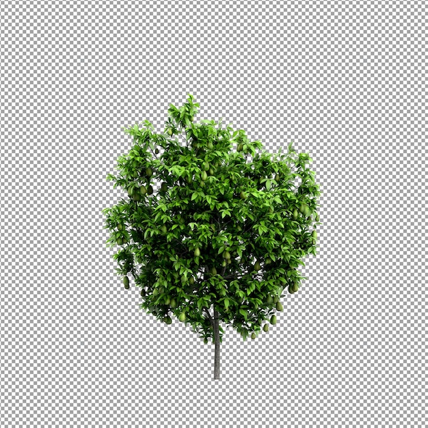 Mooie plant in 3D rendering geïsoleerd