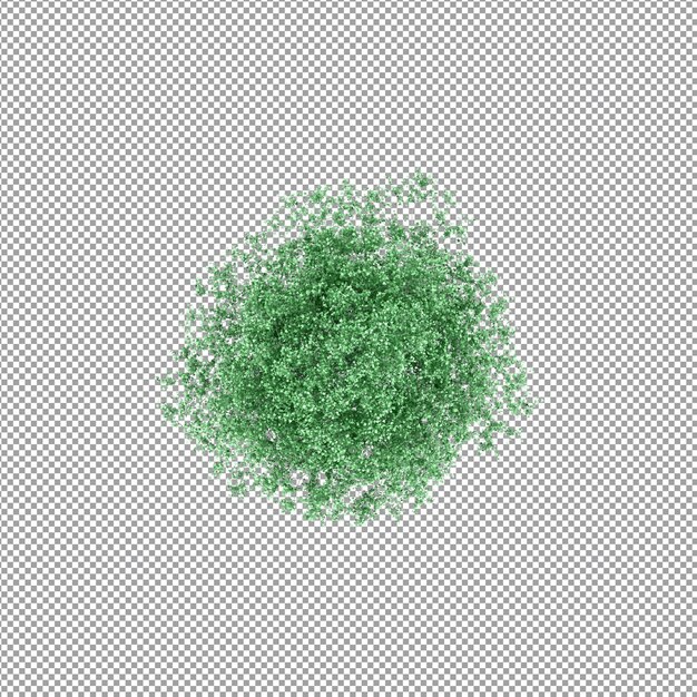 Mooie plant in 3D-rendering geïsoleerd