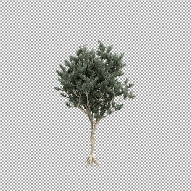 Mooie plant in 3D-rendering geïsoleerd