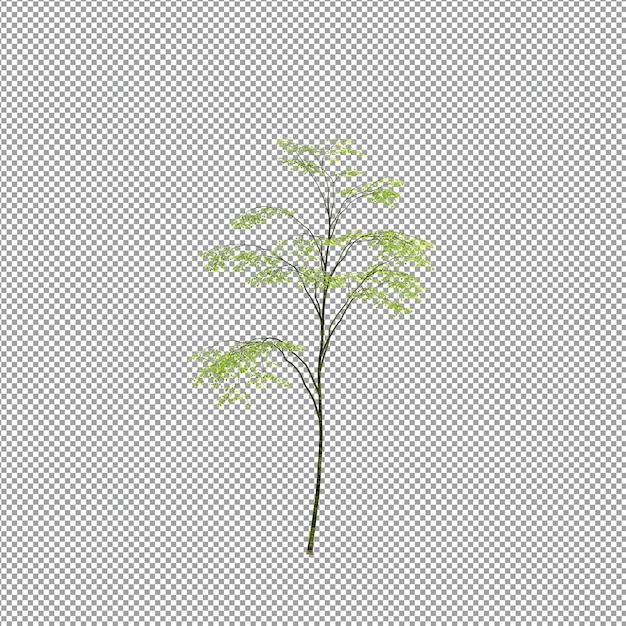 Mooie plant in 3D rendering geïsoleerd