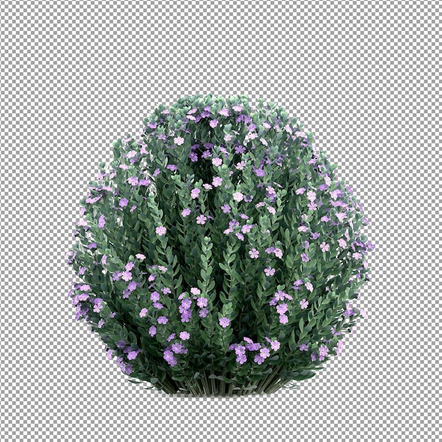 Mooie plant in 3D-rendering geïsoleerd