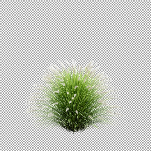 Mooie plant in 3d-rendering geïsoleerd